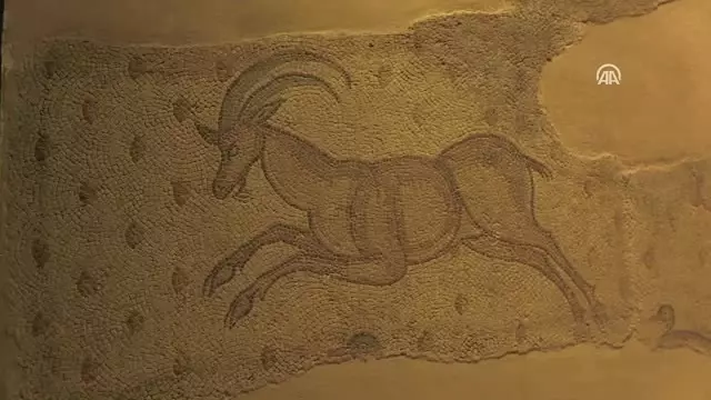 Zeugma Mozaik Müzesine Bayram İlgisi Zeugma Mozaik Müzesine Bayram İlgisi
