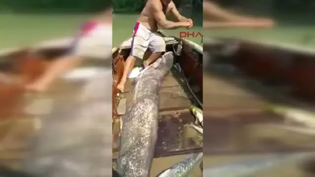 Tüm kurallara göre yayın balığı balıkçılığı Tüm kurallara göre yayın balığı balıkçılığı