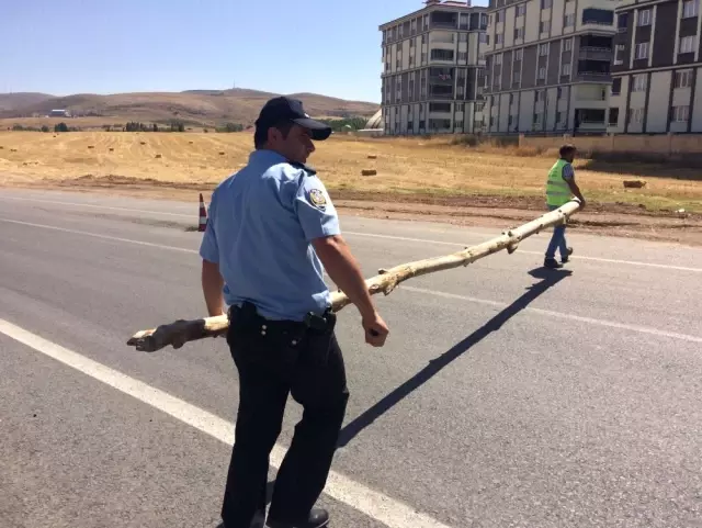 Ağaç Tomruklarıyla Yolu Trafiğe Kapattı