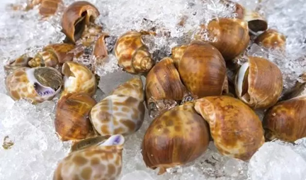 Karadeniz İhracatta Yeni Potansiyel Yakaladı
