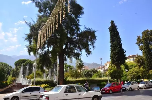 80 Yıllık Parka, Otopark Yapılmasına Tepki 80 Yıllık Parka, Otopark Yapılmasına Tepki