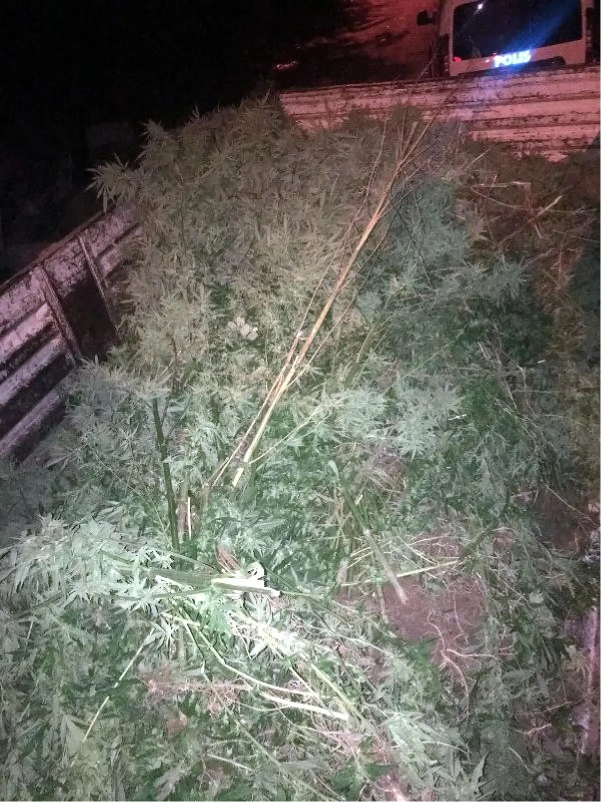 Bağ Evi Cinayetinin Sanığıydı, Uyuşturucudan Tutuklandı