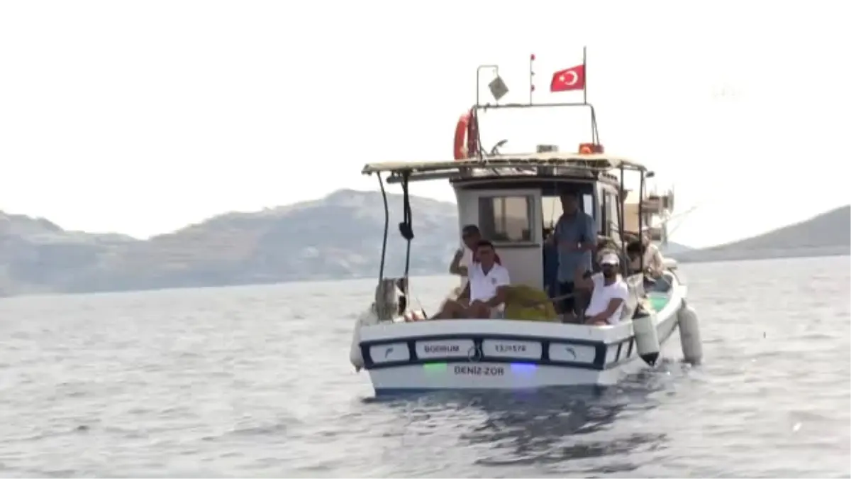 Bodrum'da 'Geleneksel 5. Balık Avı Festivali'