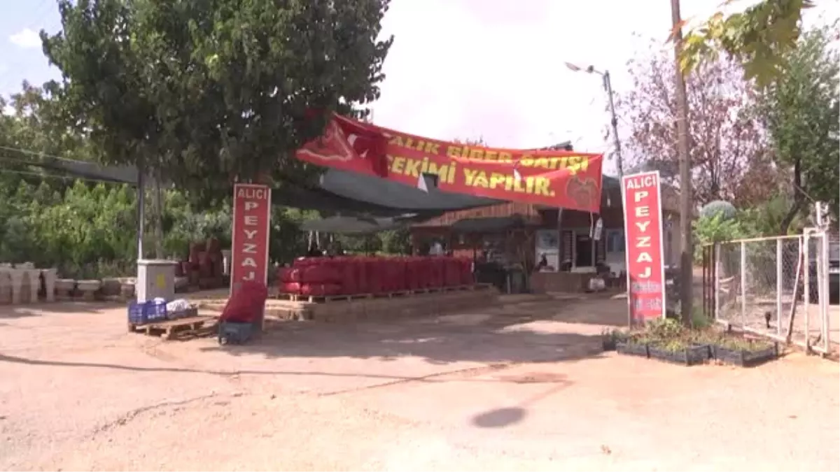 Gastronomi Şehrinin Kadınları 'Salça' Telaşında