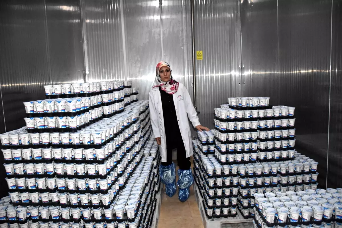 Girişimci Kadınlar - Muş'ta Kurduğu Fabrikada 20 Kişiyi İş Sahibi Yaptı