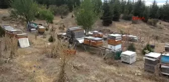 Tokat Vasiyet Uzerine 50 Yildir Aricilik Yapiyor Tokat