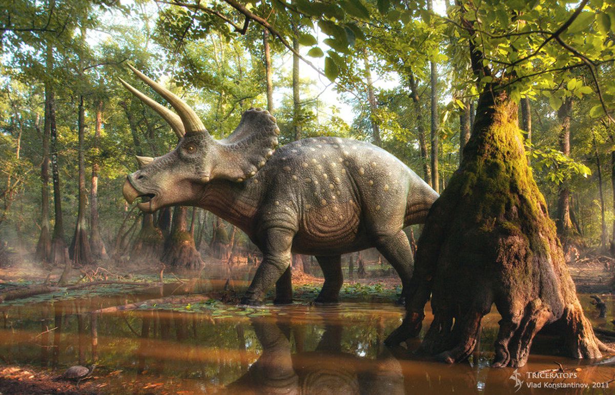 Üç Boynuzlu Dinozorun İskeleti Bulundu! En Az 66 Milyon Yıl Öncesine Ait