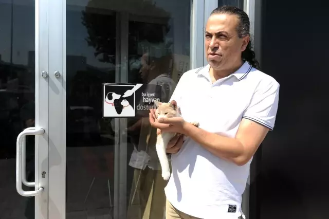 Kedi Beslediği İçin Kendisiyle Tartışan Kişiden Şikayetçi Oldu