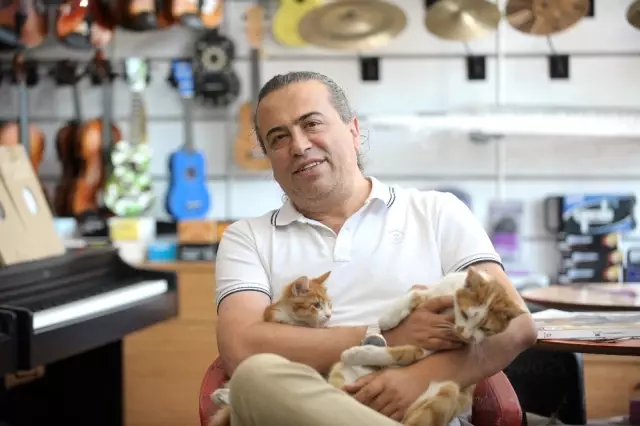 Kedi Beslediği İçin Kendisiyle Tartışan Kişiden Şikayetçi Oldu