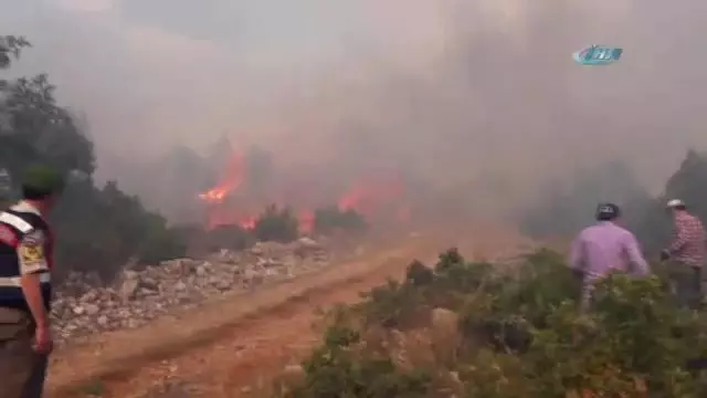 Kütahya'da Yangın Büyüyor: 7 Ev Boşaltıldı