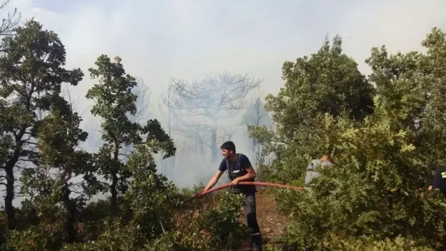 Kütahya Domaniç'te Orman Yangını