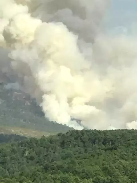 Kütahya Domaniç'te Orman Yangını