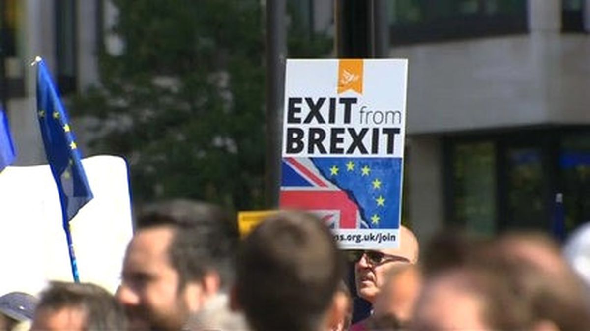 Londra'da Brexit Protestosu