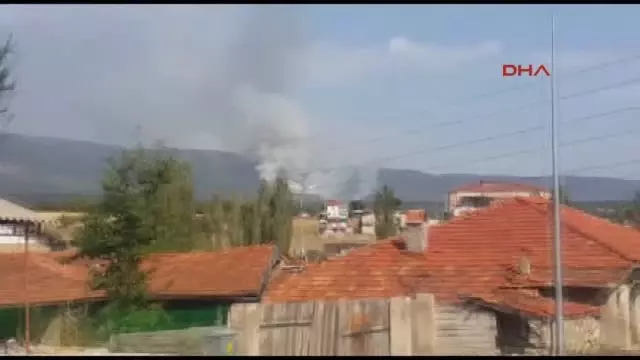 Kütahya'da Orman Yangını