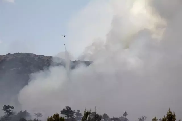 Kütahya'daki Orman Yangını
