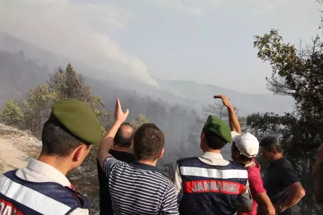 Kütahya'daki Orman Yangını