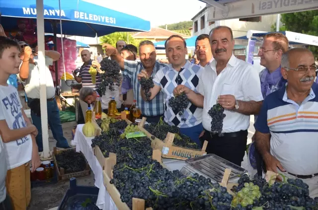 Mudanya'da Bağ Bozumu Şenliği