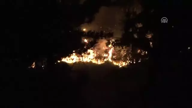 Orman Yangını Kontrol Altına Alındı