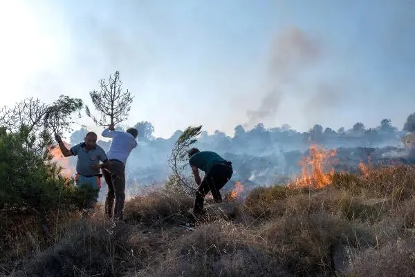 Bozcaada'daki Yangına Kaymakam ve Belediye Başkanı da Müdahale Etti