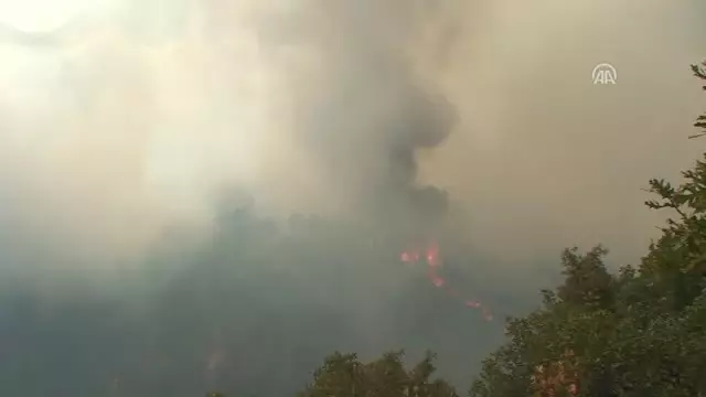 Emet'teki Orman Yangını