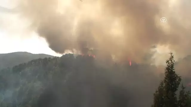 Emet'teki Orman Yangını
