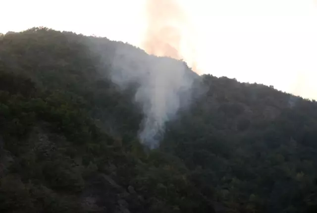 Tokat'ta Orman Yangını