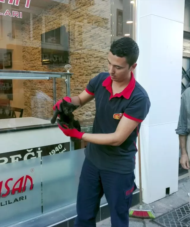Karamürsel'de Otomobile Giren Kedi Çıkarıldı