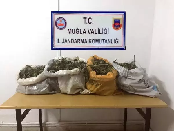 Muğla'da 10 Kilogram Kubar Esrar Ele Geçirildi