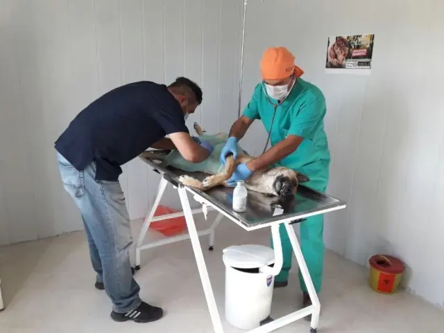 Özgüven: