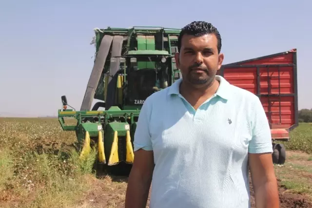 Amik Ovası'nda Pamuk Hasadı Başladı