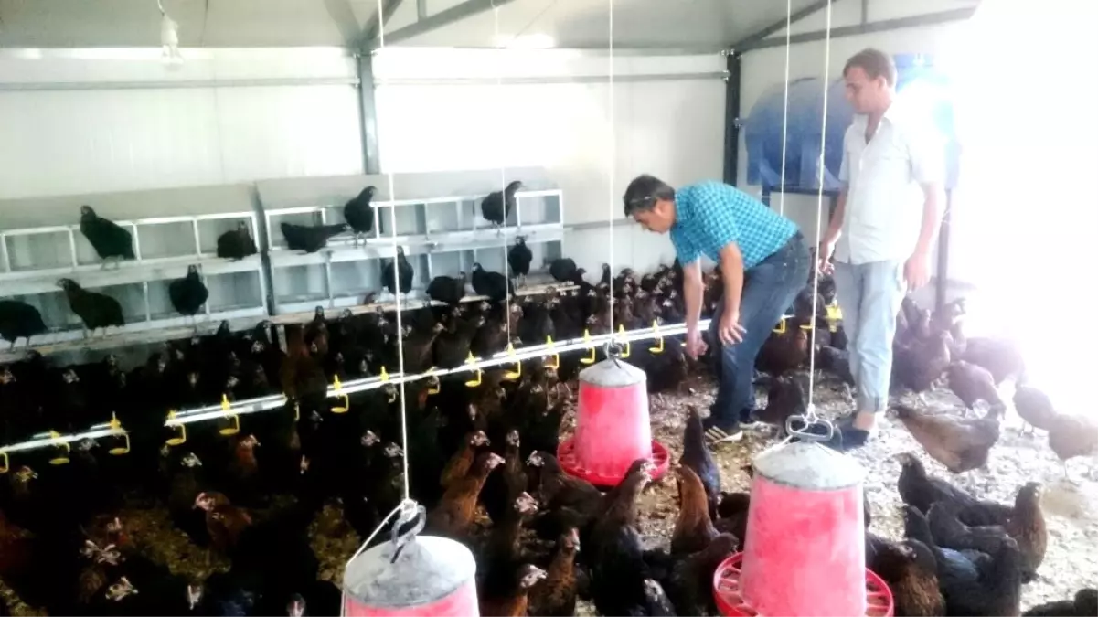 Hayalini Devlet Desteğiyle Hayata Geçirdi