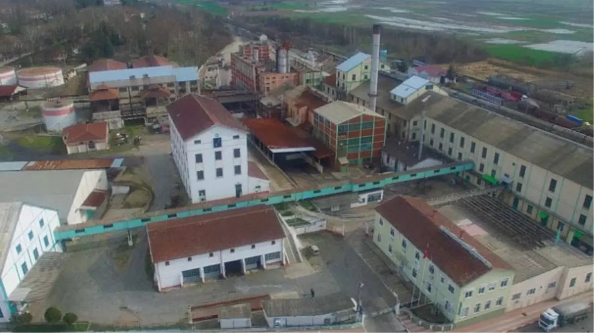 Alpullu Şeker Fabrikası, Yeniden Üretime Başladı