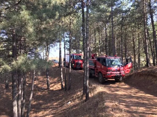 Bingöl'de Çamlık Yangını