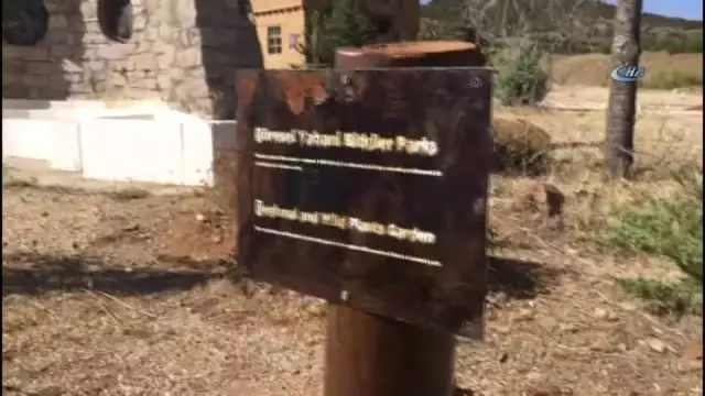Sanatçıların Köyünde Yöresel Yabani Bitkiler Parkı Kuruluyor
