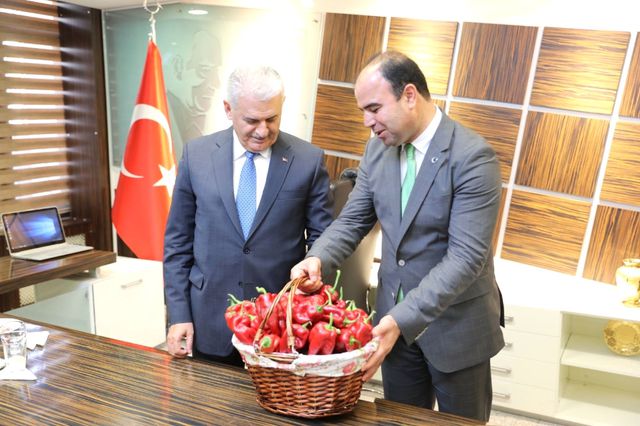 Durak po lokaljnoj seti youtube