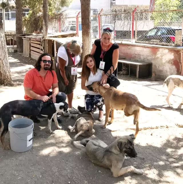 Batman�a Hayvan Bakım Evi Yapılacak Haberler