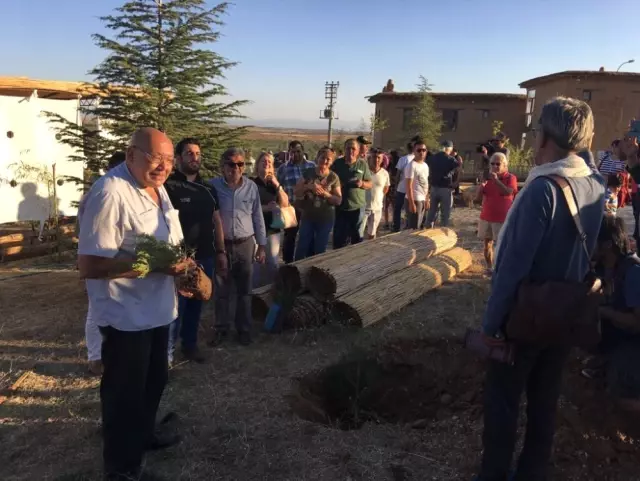 Sanatçıların Köyünde Yöresel Yabani Bitkiler Parkı Kuruluyor