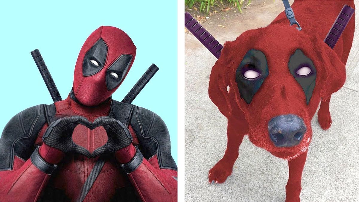 Gerçek Hayatta Var Olan 6 Süper Kahraman Köpek