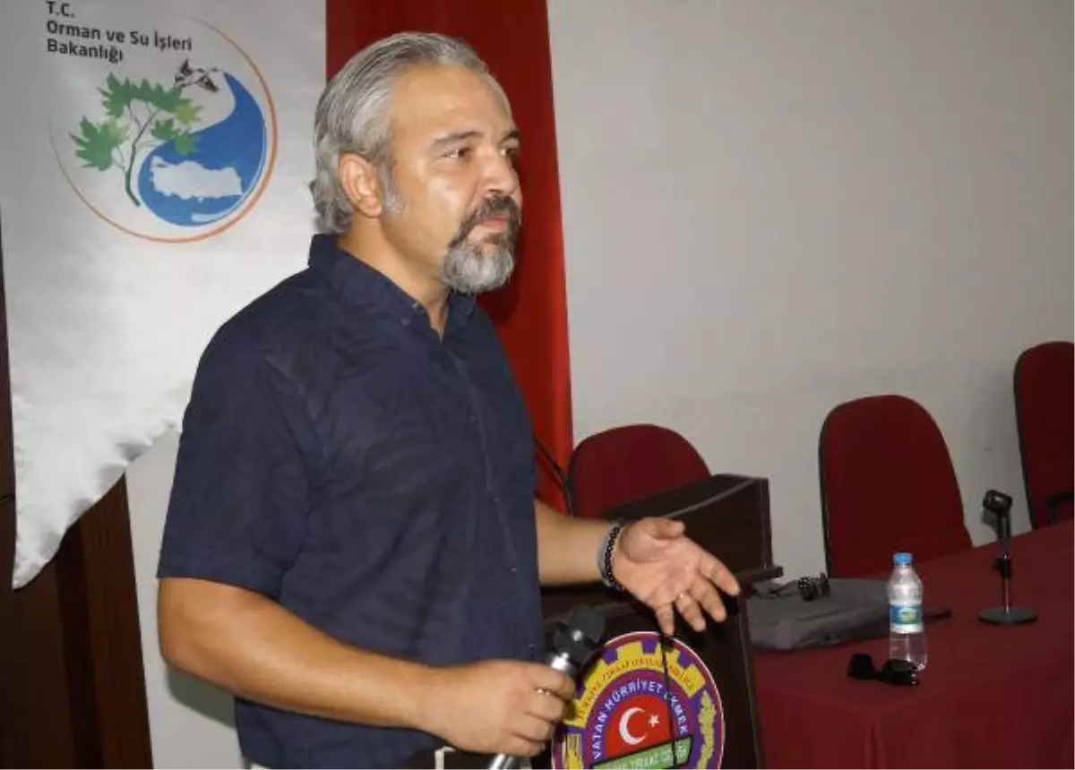 Dünya Tarihinde Kaplumbağaların İnsanlara Saldırısı Yok'