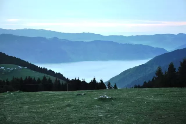 Türkiye'nin 222. Tabiat Parkı Giresun'daki Aymaç Parkı Oldu