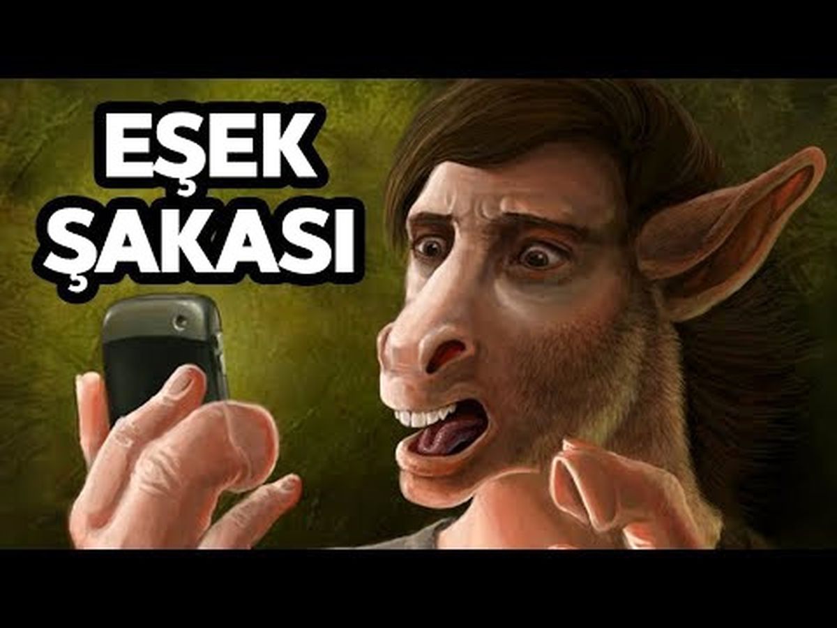Youtuber'ların Yaptığı En Çılgın Eşek Şakaları