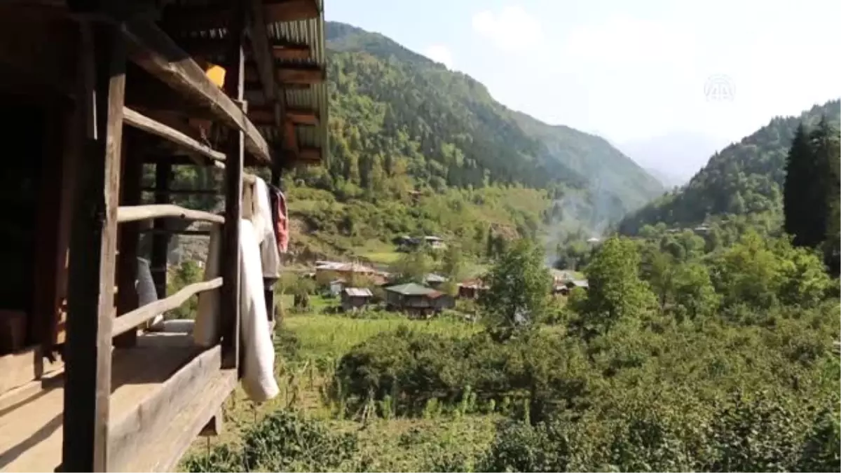 Kafkas rezervi doğanın korunması için bir inci Kafkas rezervi doğanın korunması için bir inci