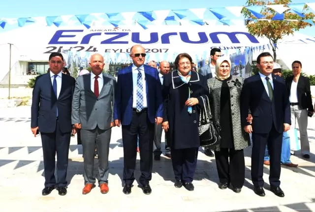 Sıla Gurbet Buluşması Sıla Gurbet Buluşması