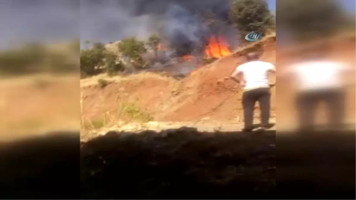 Hakkari'de Ot Yangını Korkuttu