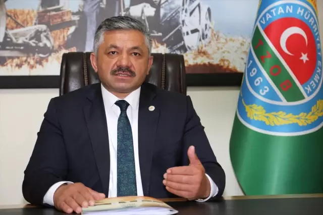 Fındıkta Alan Bazlı Gelir Desteği Fındıkta Alan Bazlı Gelir Desteği