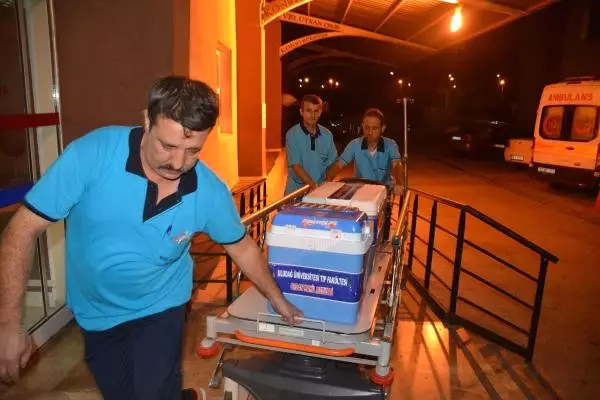 Motosiklet Kazası Sonucu Beyin Ölümü Gerçekleşen Caner'in Organları 7 Kişiye Umut Oldu