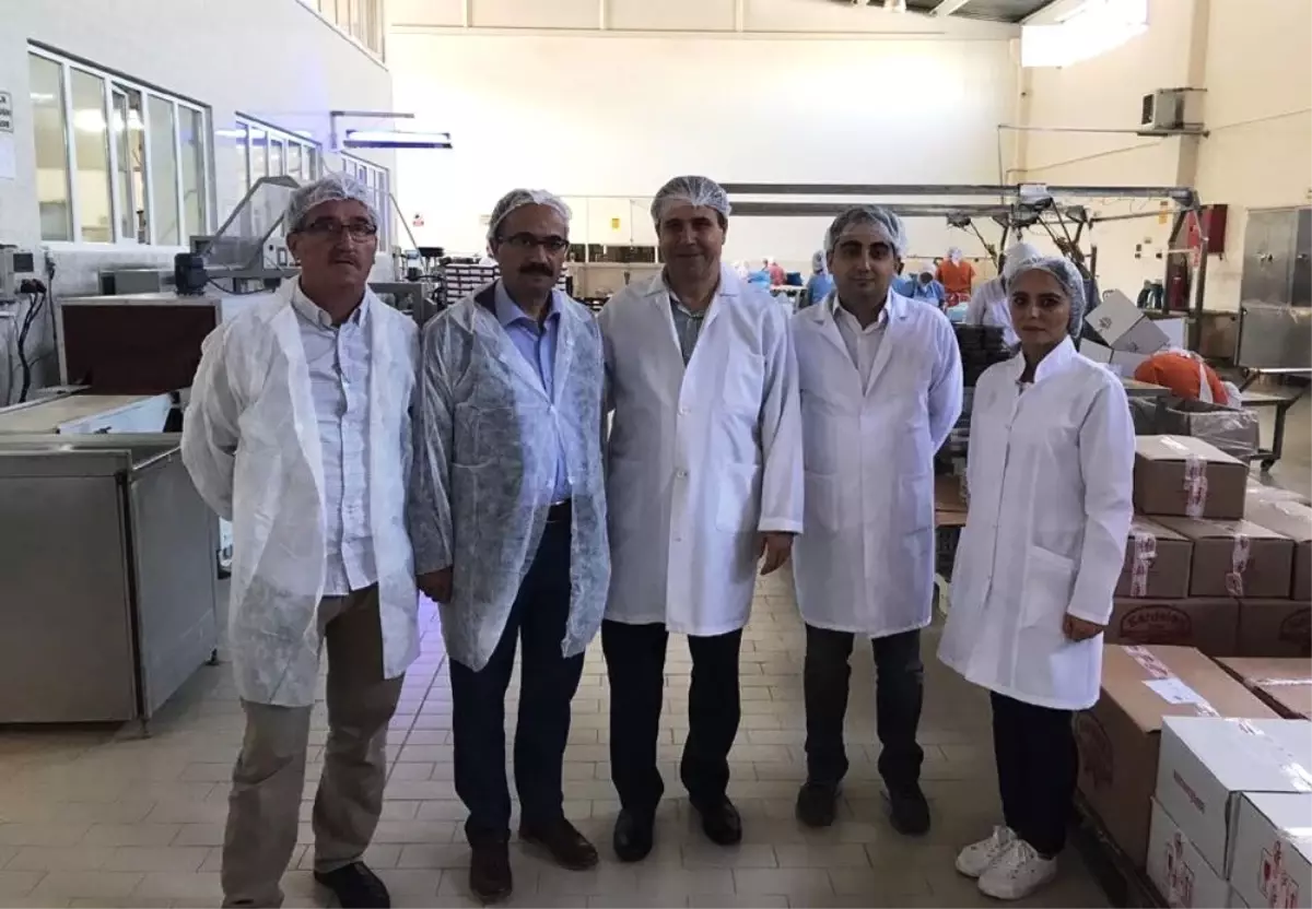 Kestane Tarımına Vekil Desteği