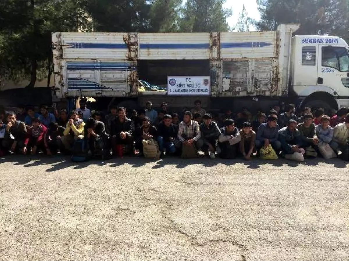 Siirt'te Kamyonda 88 Kaçak Yakalandı