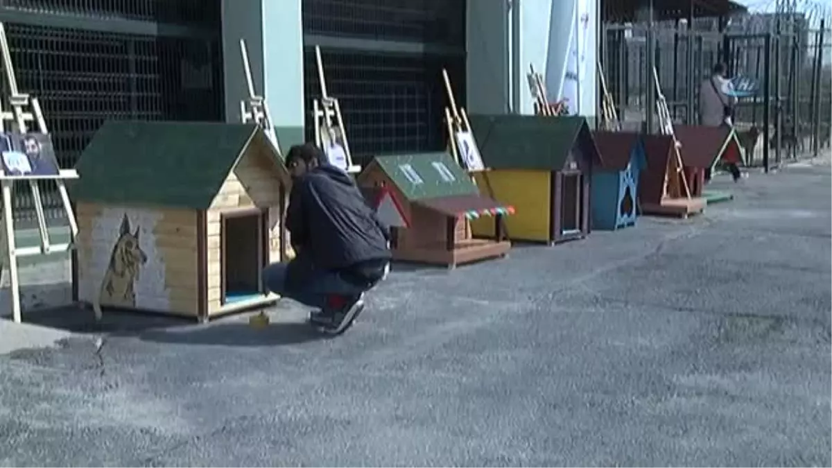 Hayvanların Yuvalarını Ünlü İsimler Tasarladı, Engelliler Hayata Geçirdi