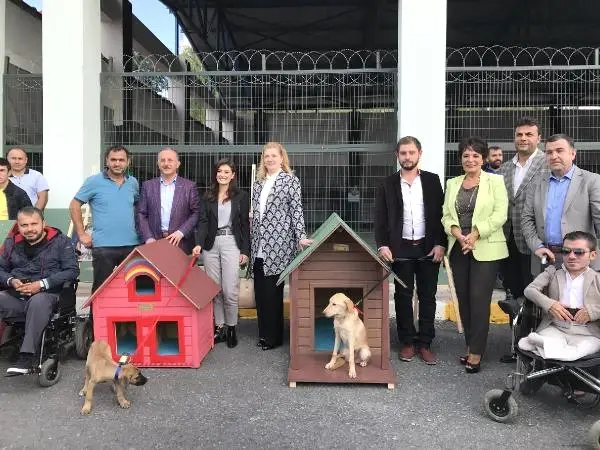 Hülya Koçyiğit Sokak Hayvanları İçin Kulübe Tasarladı Hülya Koçyiğit Sokak Hayvanları İçin Kulübe Tasarladı